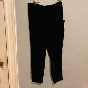 Gorgeous Eileen Fisher rayon/silk black velvet pants, never worn, size xs